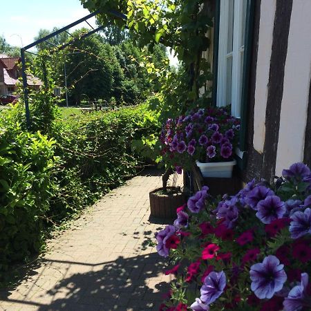 Appartements An Der Schleuse Lübz Buitenkant foto