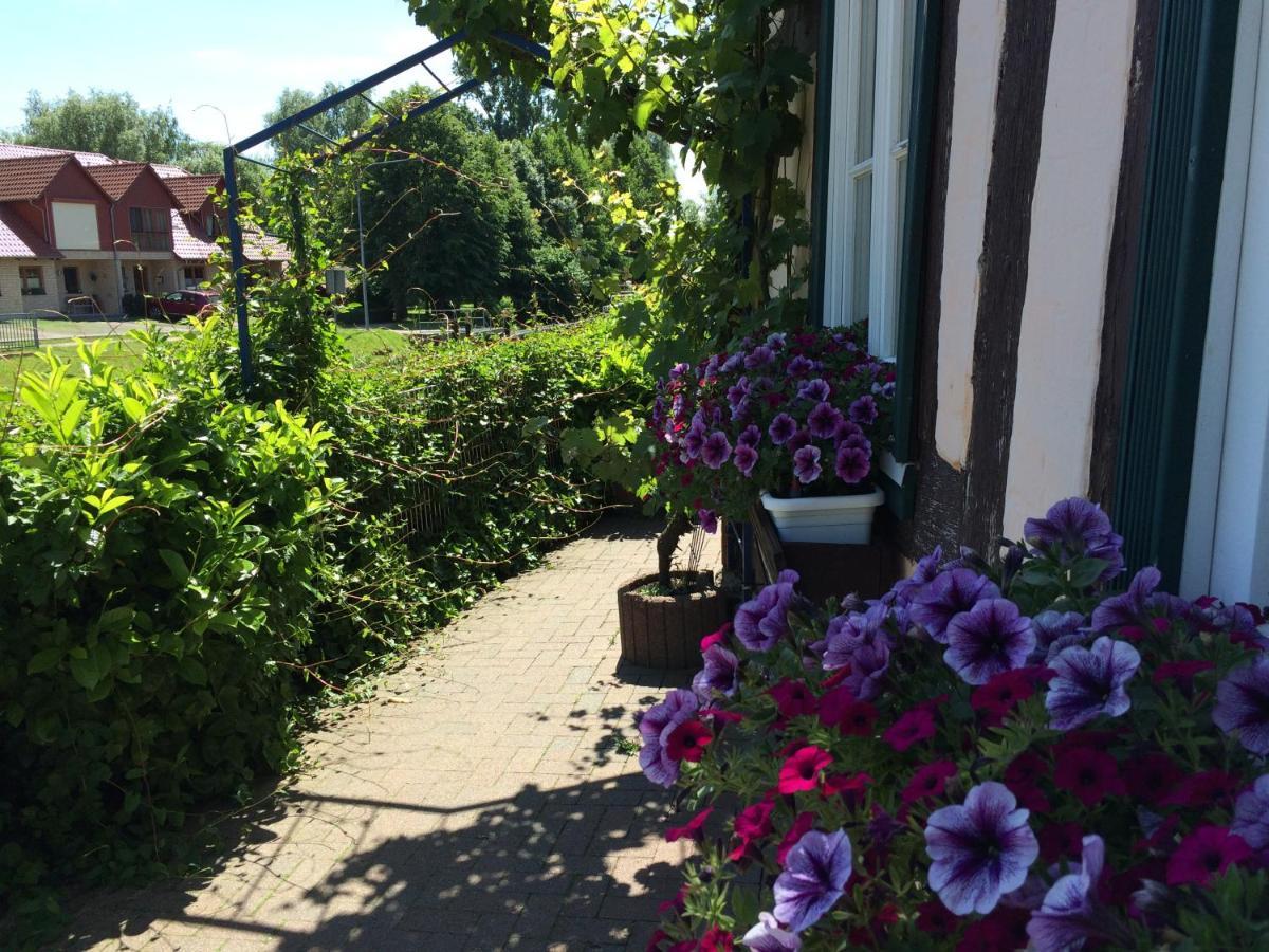 Appartements An Der Schleuse Lübz Buitenkant foto